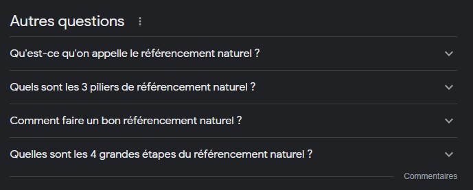 exemple de rubrique 'autres questions posées' pour la requête 'référencement naturel'